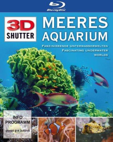Meeresaquarium 3D