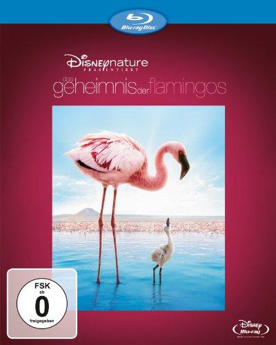 Das Geheimnis der Flamingos
