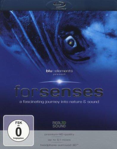forsenses - A Fascinating Journey into Nature & Sound