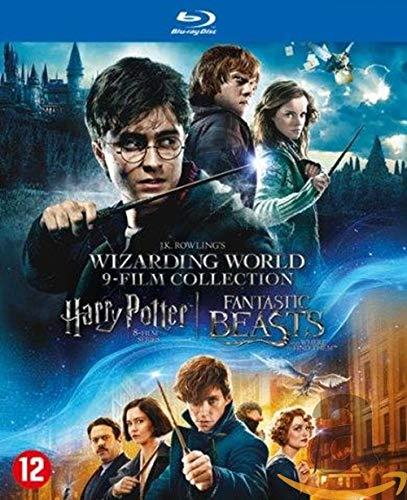 Harry Potter 1-8 + Fantastic Beasts 1