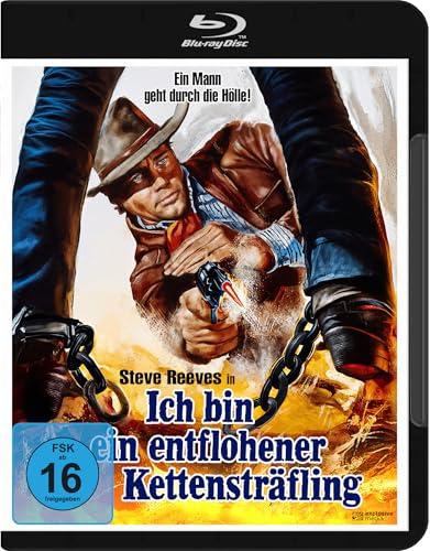 Ich bin ein entflohener Kettensträfling