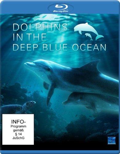 Dolphins in the Deep Blue Ocean