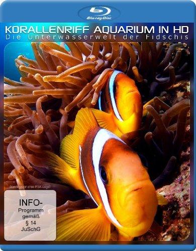 Korallenriff Aquarium in HD - Die Unterwasserwelt der Fidschis