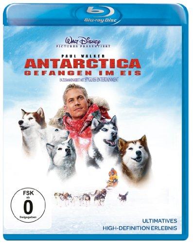 Antarctica - Gefangen im Eis