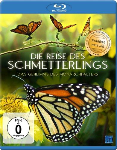 Die Reise des Schmetterlings - Das Geheimnis des Monarchfalters