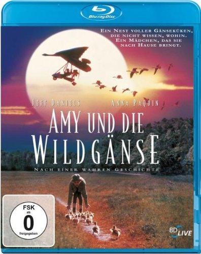 Amy und die Wildgänse