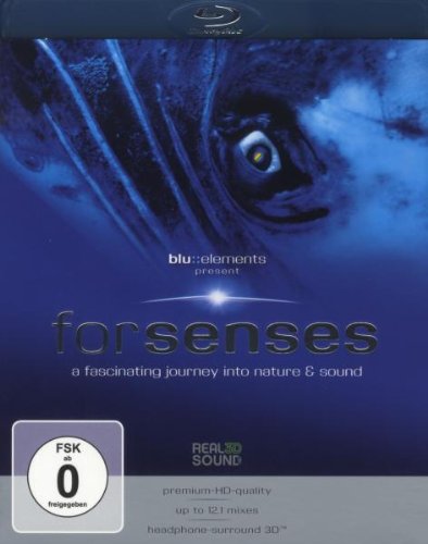 forsenses - A Fascinating Journey into Nature & Sound